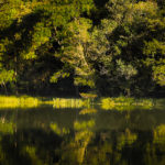 IMG_1389 copy