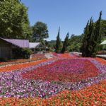 Unique Garden - Vila Mediterrânea - Crédito Tuca Reinés (2)