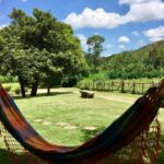 PHOTO-2020-05-19-15-51-42