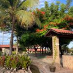 5b3b0c09-f1ce-4005-b5f4-143d467175e9