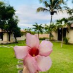 a30c31e1-046e-4210-9143-9eefd3d11d5b