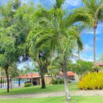 e9437bf9-50e4-4bcc-8ed2-c006d375c9f0