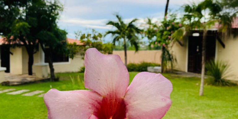 a30c31e1-046e-4210-9143-9eefd3d11d5b